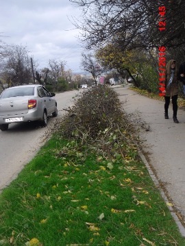 ул. Меньшикова (5)